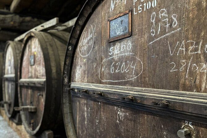 Douro Valley Full Day Tour with River Cruise and Wine Tastings - Miradouro Torguiano de São Cristóvão do Douro: a short stop with big payoff