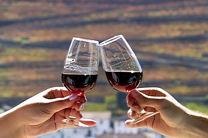 Douro Valley Full Day Tour with River Cruise and Wine Tastings - UNESCO Douro Valley viewpoints: getting oriented fast