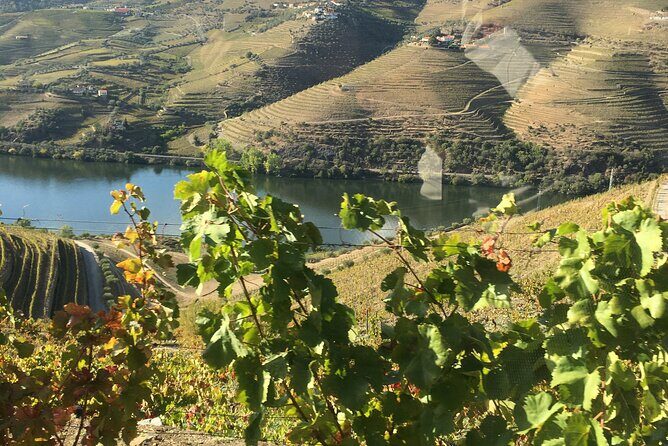 Douro Valley in off road - Private Tour - Key highlights to look for