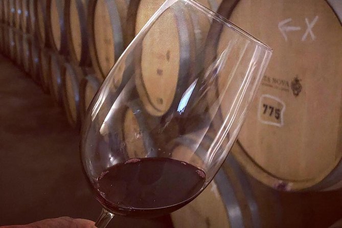 Douro Valley Premium Private - Guides Who Make the Day Feel Personal: Delfim and Dolphin