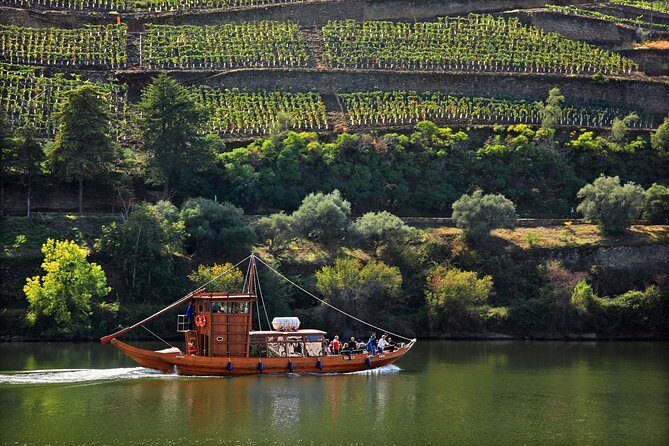 Douro Valley private day tour from Porto - Lunch and pacing: fitting a lot into one Douro day