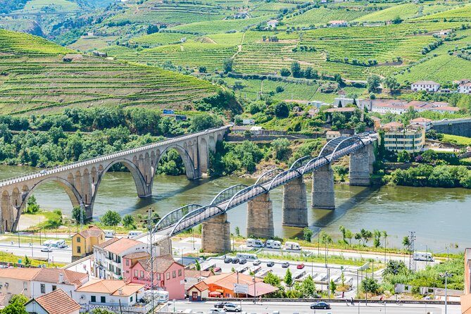 Douro Valley private day tour from Porto - Guides, vehicle comfort, and the small stuff that changes the day