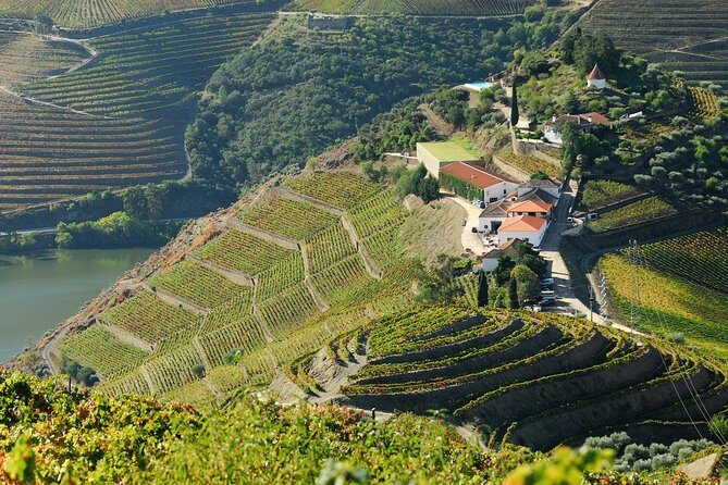 Douro Valley private day tour from Porto - Price and value: $660.87 for up to 3 is the math you should do