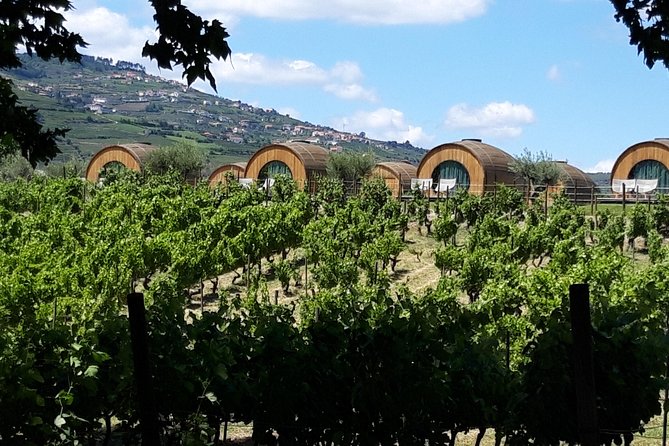 Douro Valley Private Premium Tour with Wine Tasting (1 to 4 people) - Port Wine Tasting and Lunch: What You Get, What You Pay for