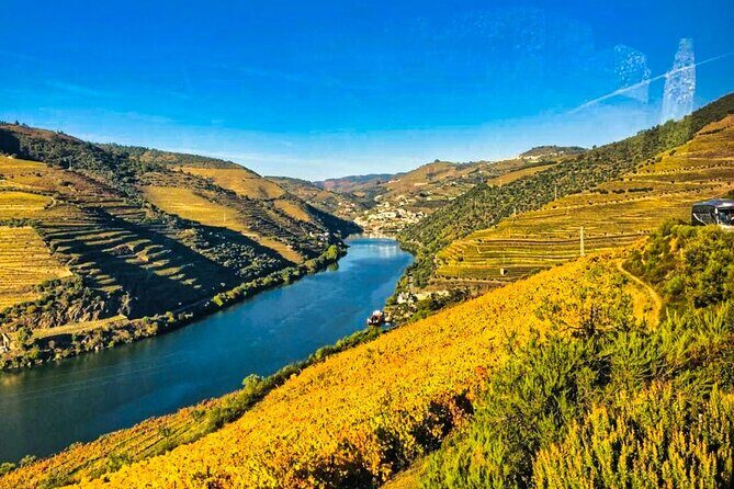Douro Valley Private Tour: 2 Farms, Lunch & Boat Trip - One Hour on the Douro River: Boat Trip at Water Level