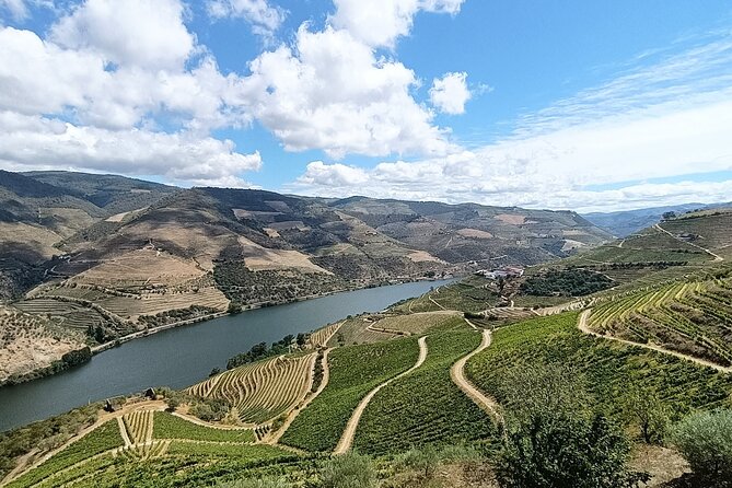 Douro Valley Private Tour - Price, Value, and What You’re Really Paying For