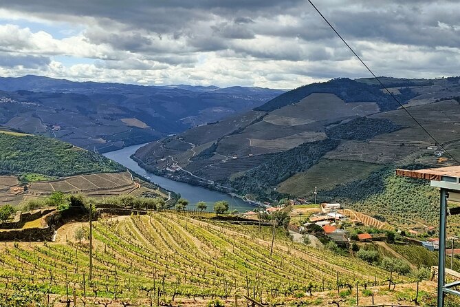 Douro Valley Private Tour - The Role of Your Guide: Pedro’s Reputation Matters