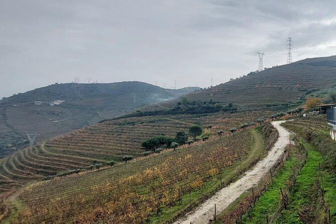 Douro Valley private tour full day - Stop 5: Casal de Loivos viewpoint, short stop, big payoff