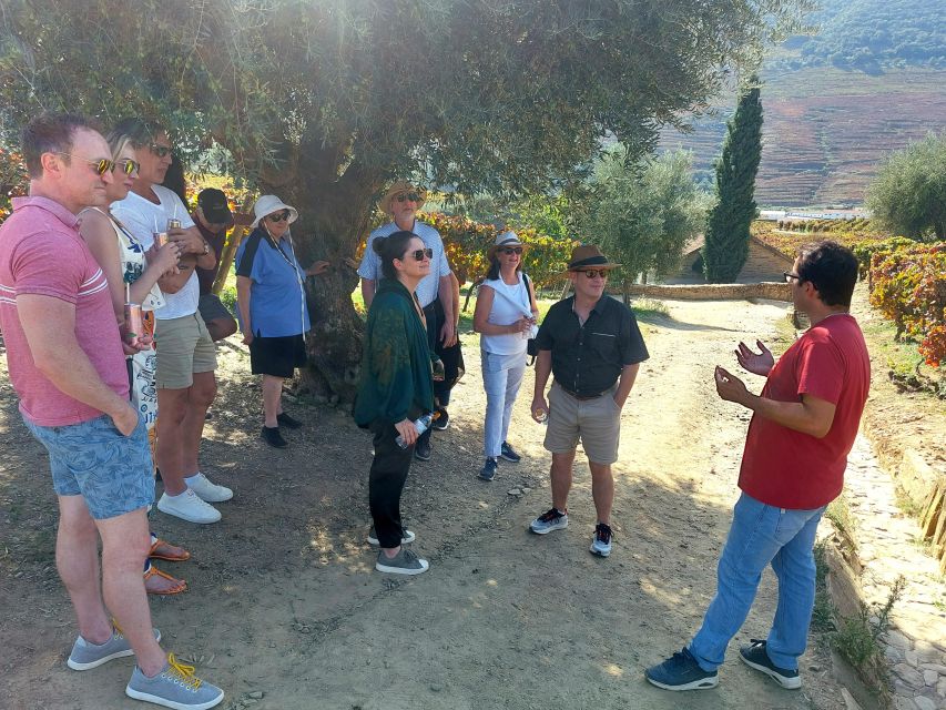 Douro Valley private tour & wine experience including lunch - Why This Douro Valley Day Trip Works So Well From Porto
