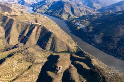 Douro Valley private tour & wine experience including lunch - Pickups, the Mercedes Van Ride, and How the Day Starts