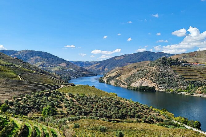 Douro Valley Private Tour (winery + boat + viewpoint) - Key takeaways before you book