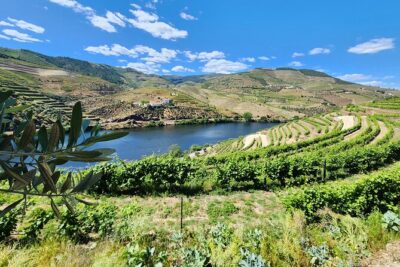 Douro Valley Private Tour (winery + boat + viewpoint) - The 1-hour Rabelo boat trip: river views without overplanning