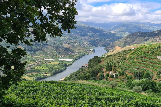 Douro Valley Private Tour (winery + boat + viewpoint) - Price and value: why $198.25 can make sense here