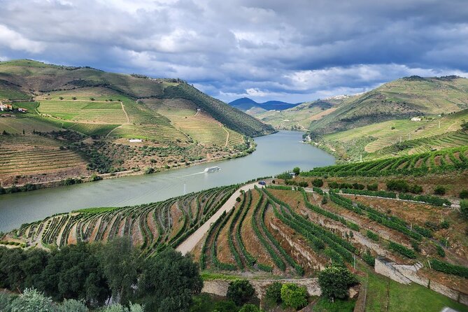 Douro Valley Private Tour (winery + boat + viewpoint) - Who this Douro Valley private tour is best for