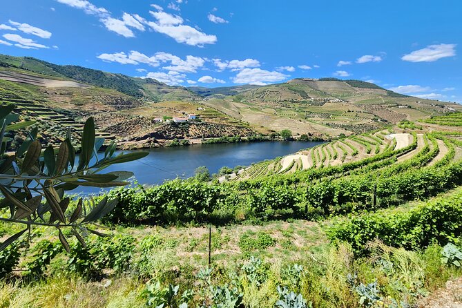Douro Valley Private Tour (winery + boat + viewpoint) - The 1-hour Rabelo boat trip: river views without overplanning