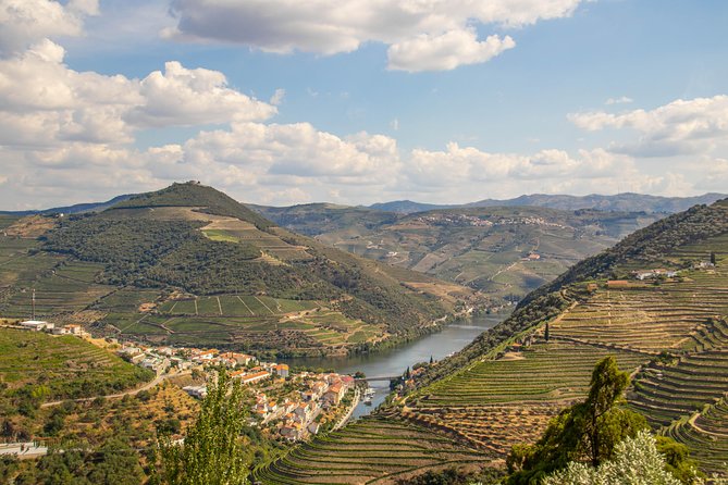 Douro Valley: private tour with lunch and wine estate all inclusive - The Guides: What You Can Expect When the Day Feels Personal
