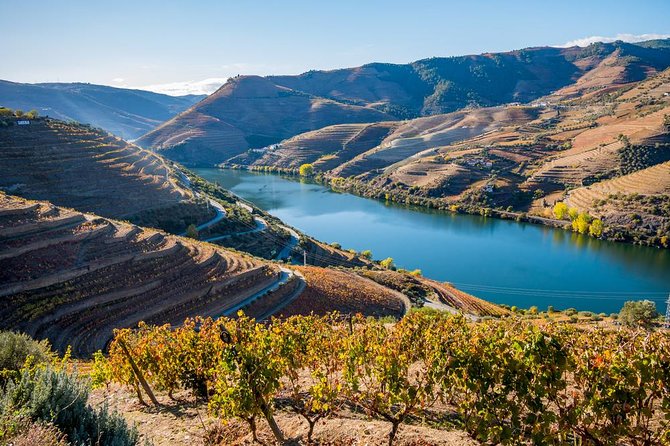 Douro Valley: private tour with lunch and wine estate all inclusive - Getting Going: 9:00 AM Start, Hotel Pickup, and a Long Scenic Drive