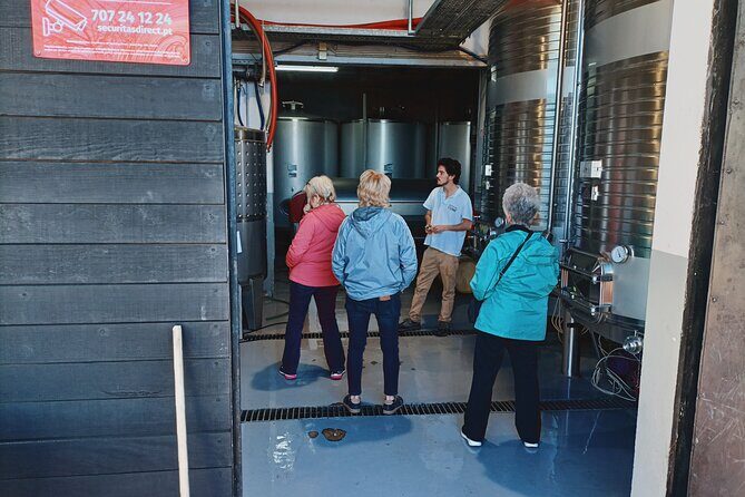 Douro Valley Private Tour with Sommelier - Douro Valley wine day, but with actual tasting focus