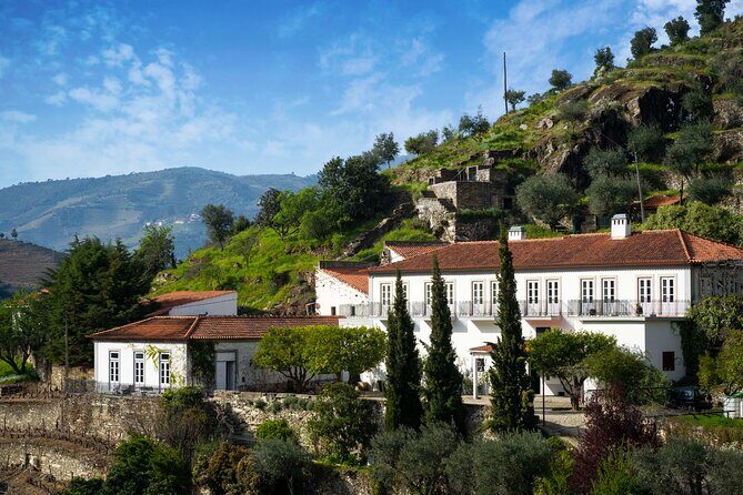 Douro Valley private tour with wine tasting and boat tour - Pinhão Railway Station: why those tiles matter