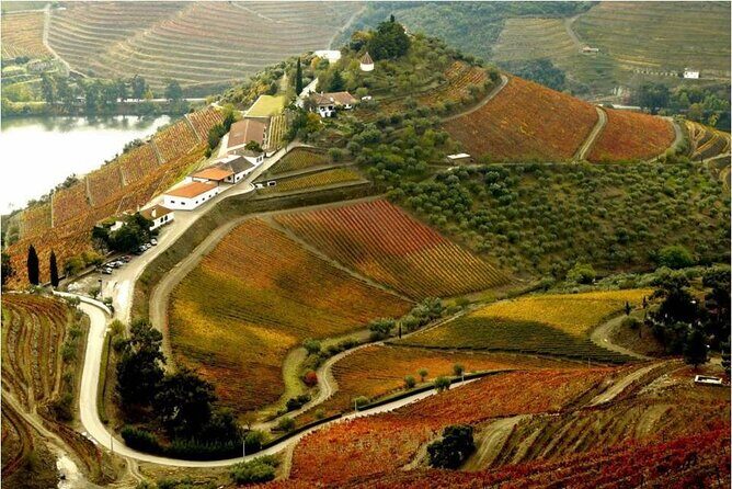 Douro Valley — Private UNESCO Wine & Cultural Experience - Lunch with roasted lamb: where the day resets