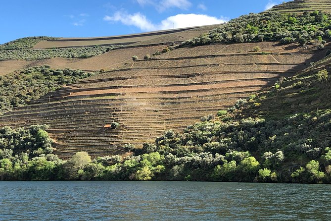 Douro Valley private wine tour | tastings and lunch included - Porto pickup at 8:30: the value of not fighting transportation