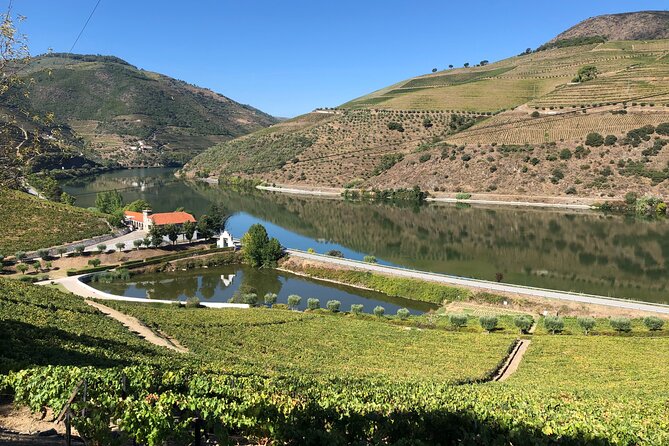 Douro Valley private wine tour | tastings and lunch included - Price and value: what you’re paying for at $313.35