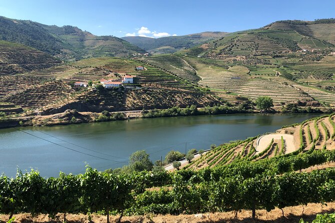 Douro Valley private wine tour | tastings and lunch included - Quinta tastings: Port and Douro DOC in the same day
