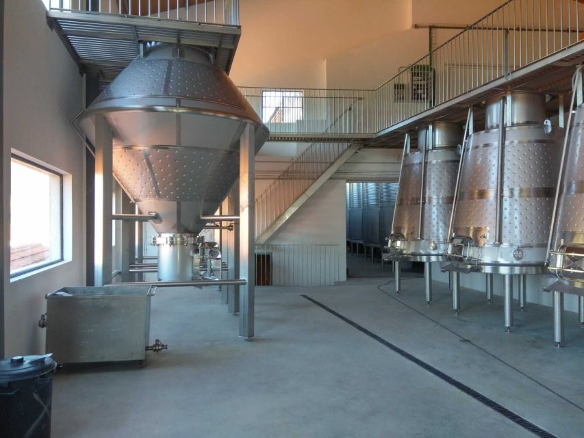 Douro Valley: Quinta de S. Luiz Winery Tour and Tasting - Why Quinta de S. Luiz Works for a 1-Hour Douro Wine Stop
