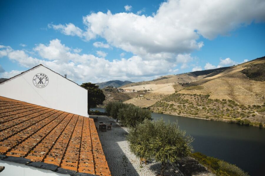 Douro Valley: Quinta de S. Luiz Winery Tour and Tasting - Kopke wines tasting: how classic vs premium changes your day