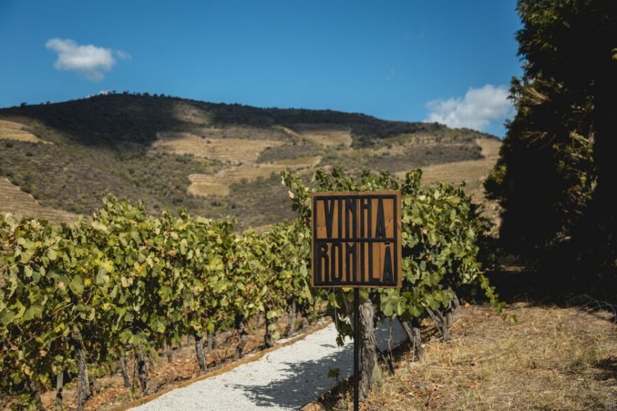 Douro Valley: Quinta de S. Luiz Winery Tour and Tasting - Should you book Quinta de S. Luiz Winery Tour and Tasting?