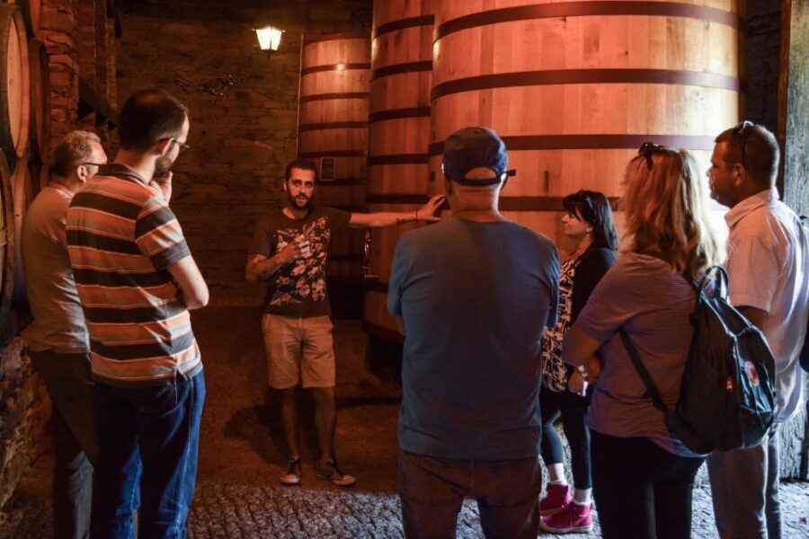 Douro Valley: Quinta do Tedo Wine Experience with Picnic - Quinta do Tedo’s winery tour: vinification center and wine cellars