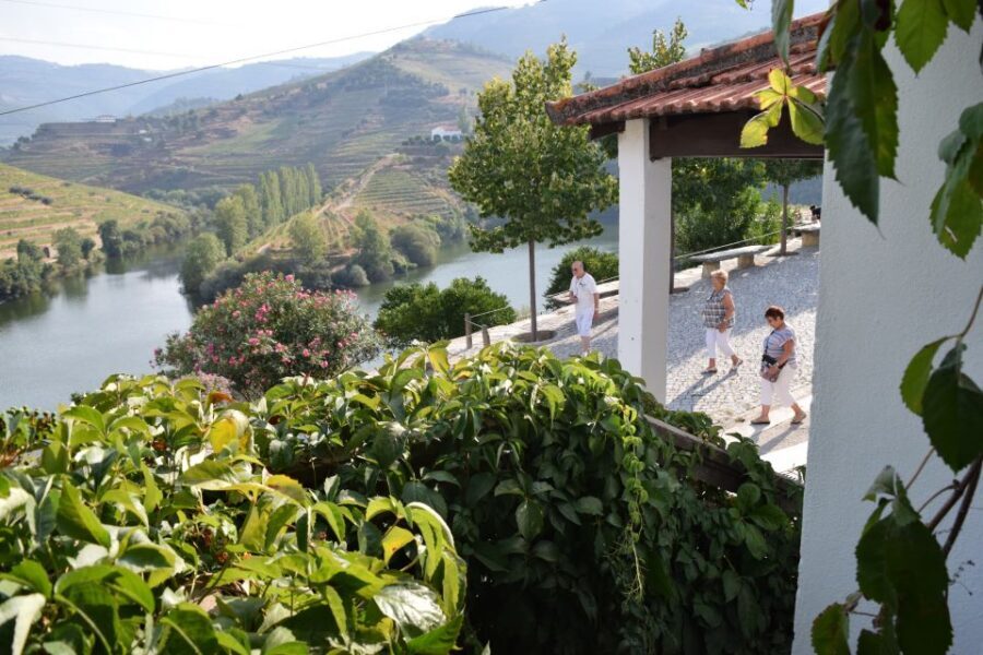 Douro Valley: Quinta do Tedo Wine Experience with Picnic - Price and value: what $65 per person buys you