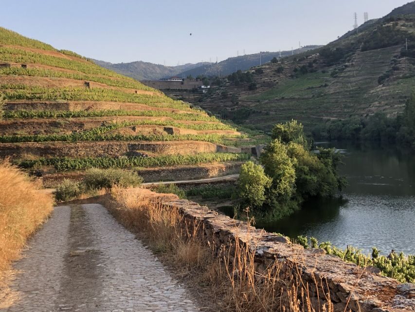 Douro Valley: Quinta do Tedo Wine Experience with Picnic - Weather reality: what happens if heavy rain is forecast