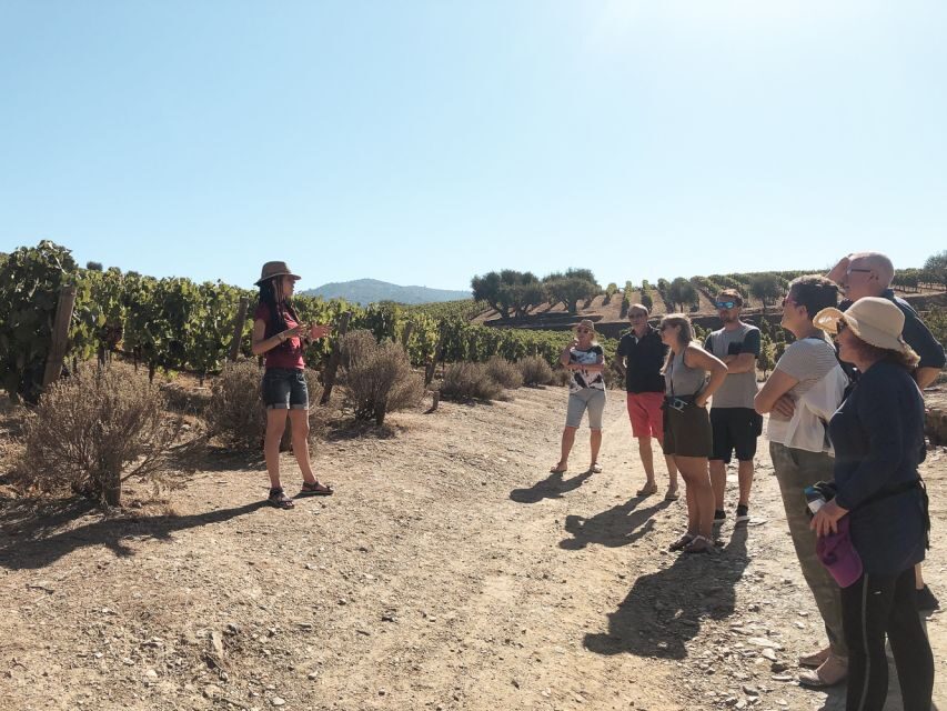Douro Valley: Real Small-Group, Wine Tasting, Lunch & Boat - Who This Tour Suits Best (and Who Might Prefer Another Option)