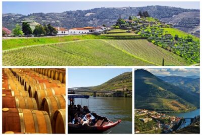 Douro Valley - Relaxed Departure from Porto - Getting started at Igreja da Lapa and what your timing will feel like