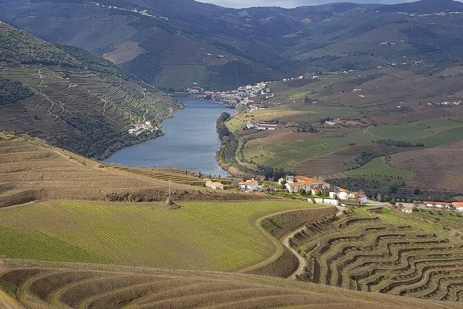 Douro Valley Tour: 2 Vineyard Visits, River Cruise, Winery Lunch - Key points to know before you go