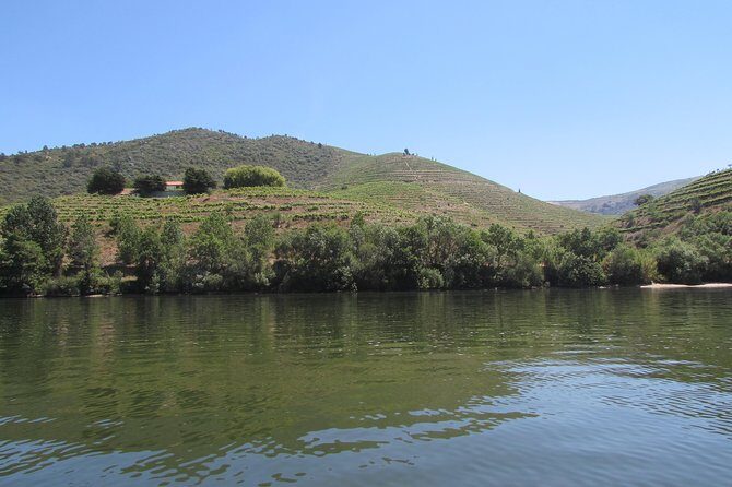 Douro Valley Tour: 2 Vineyard Visits, River Cruise, Winery Lunch - Lamego stop: family vineyard tasting with terraces and local products