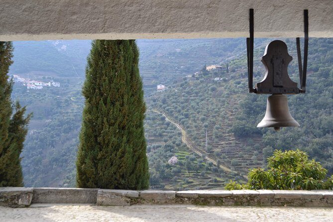Douro Valley Tour: 2 Vineyard Visits, River Cruise, Winery Lunch - How long is really long: timing, traffic, and what to schedule