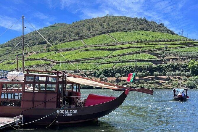 Douro Valley Tour - 3 Wine tastings, Lunch & river Cruise - Casal de Loivos: The Wine and Olive Oil Stop That Changes How You Taste