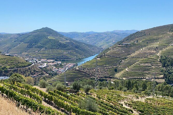 Douro Valley Tour - 3 Wine tastings, Lunch & river Cruise - Amarante: Portuguese Village Charm Plus Vinho Verde With Cheese and Charcuterie