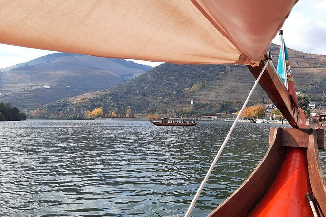 Douro Valley Tour - 3 Wine tastings, Lunch & river Cruise - The Wine, Olive Oil, and Port: What’s Included in Plain Terms