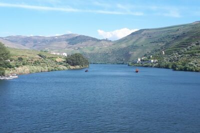 Douro Valley Tour (wine & Food) - The Douro Valley Segment: River Stops, Small Towns, and a Short Cruise