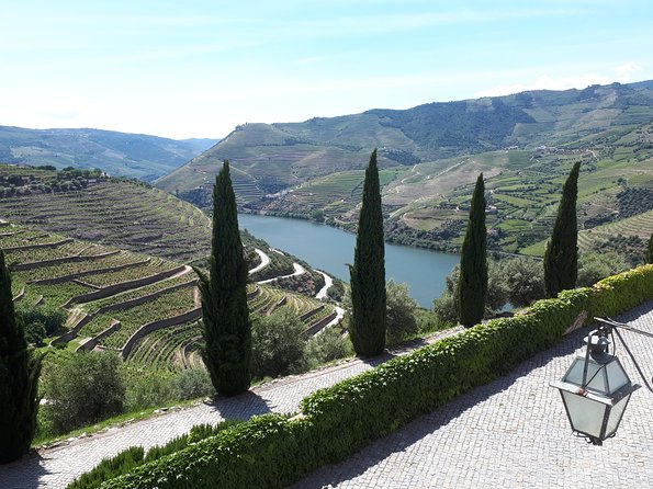 Douro Valley Tour (wine & Food) - D’Origem Olive Oil Press Museum: Oil and Wine in One Day