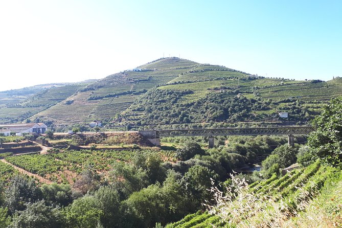 Douro Valley Tour (wine & Food) - Transport Comfort and Timing: The 8-Hour Day Reality