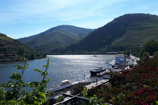 Douro Valley Tour (wine & Food) - Clean & Safe and the Little Trust Factors