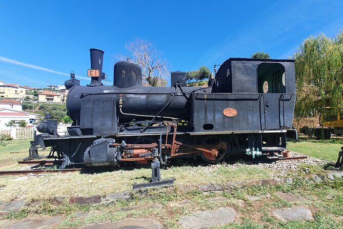 Douro Valley Tour with Train and Vinho Verde - Key Things to Know Before You Go