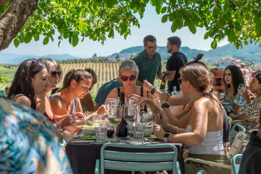Douro Valley: Wine Tour with Lunch, Tastings & River Cruise - Group size, guide quality, and comfort on the coach
