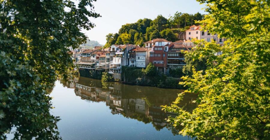 Douro Valley: Wine Tour with Lunch, Tastings & River Cruise - Lunch at the vineyards: what you should expect from the pairing