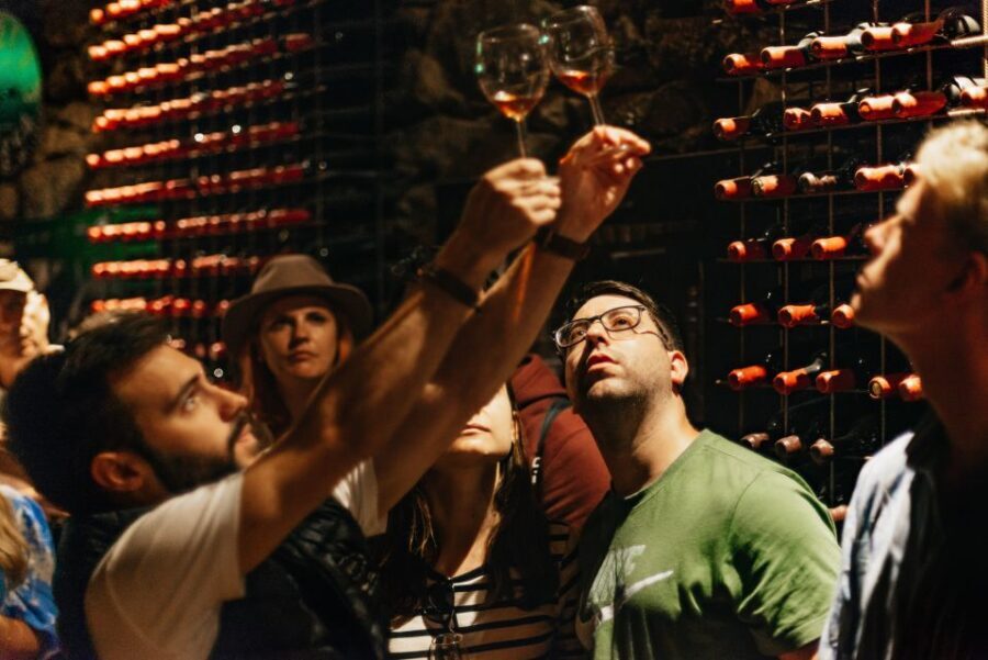 Douro Valley: Wine Tour with Lunch, Tastings & River Cruise - The second winery: contrasting styles in the afternoon