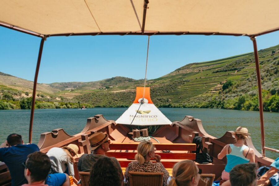Douro Valley: Wine Tour with Lunch, Tastings & River Cruise - Return to Porto via the N222 road: ending with views
